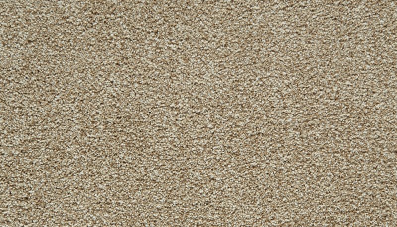Mohawk Flooring Cozy Companion III