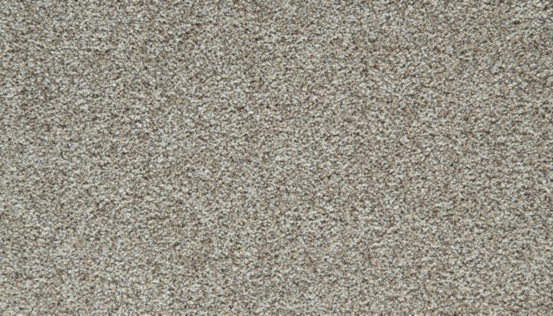 Mohawk Flooring Cozy Companion III