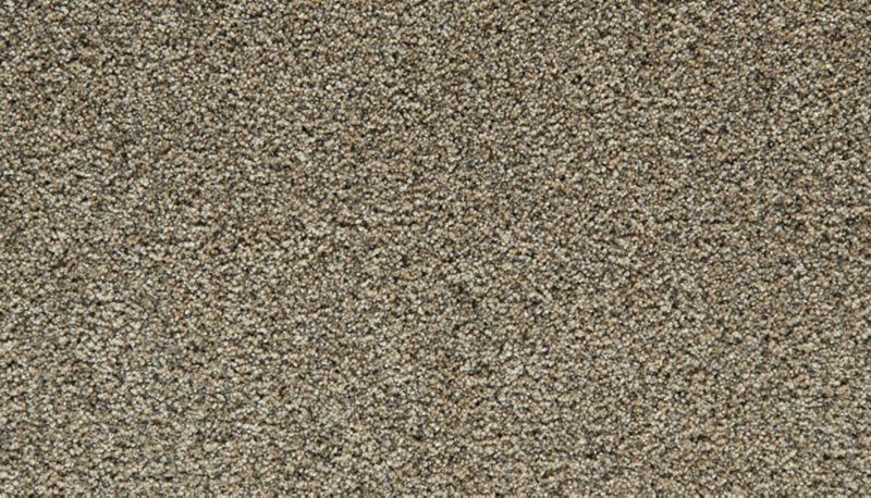 Mohawk Flooring Cozy Companion III