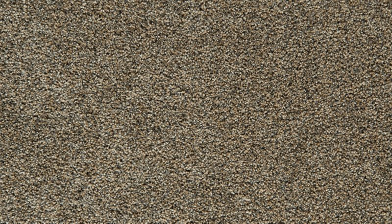 Mohawk Flooring Cozy Companion III