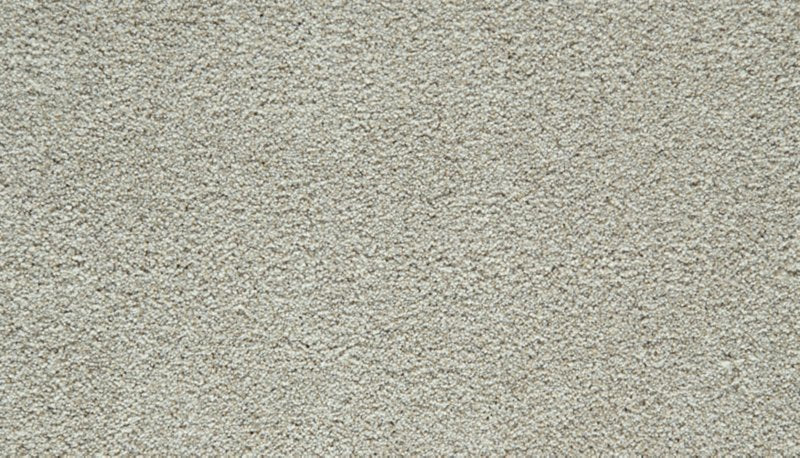 Mohawk Flooring Cozy Companion III