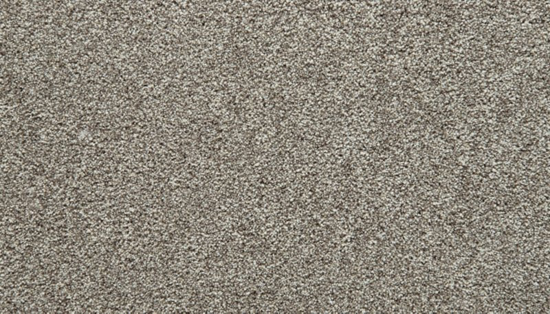 Mohawk Flooring Cozy Companion III