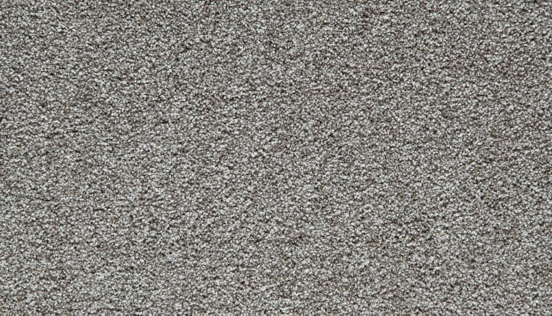 Mohawk Flooring Cozy Companion III