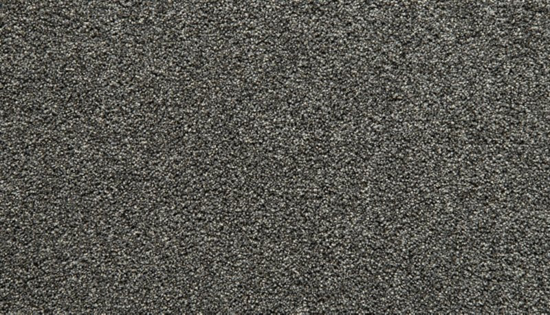 Mohawk Flooring Cozy Companion III