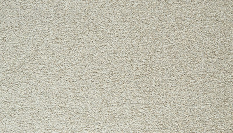 Mohawk Flooring Cozy Companion IV