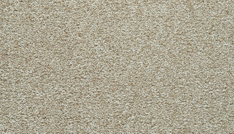 Mohawk Flooring Cozy Companion IV
