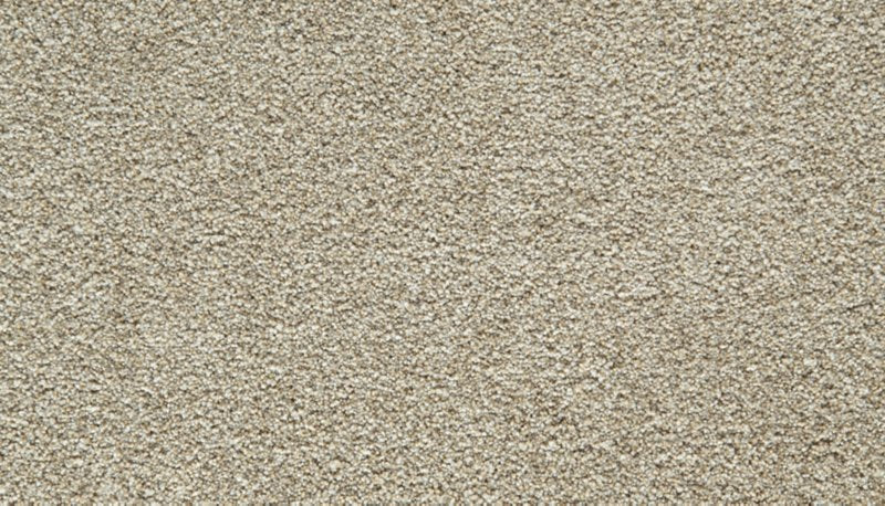 Mohawk Flooring Cozy Companion IV