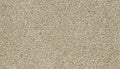 Mohawk Flooring Cozy Companion IV
