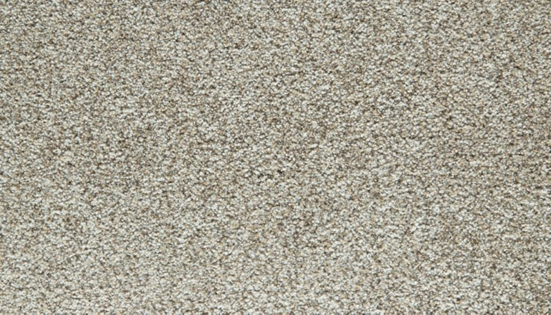 Mohawk Flooring Cozy Companion IV
