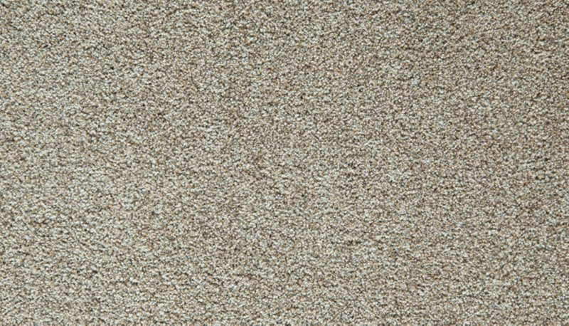 Mohawk Flooring Cozy Companion IV
