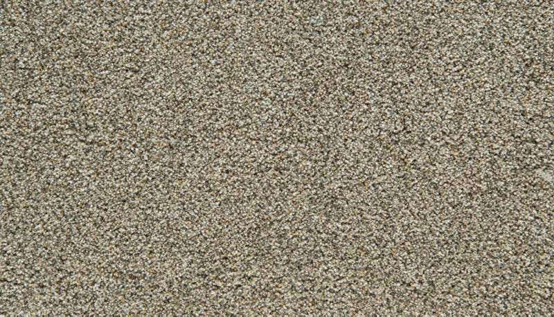 Mohawk Flooring Cozy Companion IV