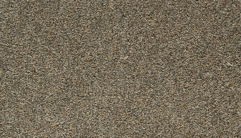 Mohawk Flooring Cozy Companion IV