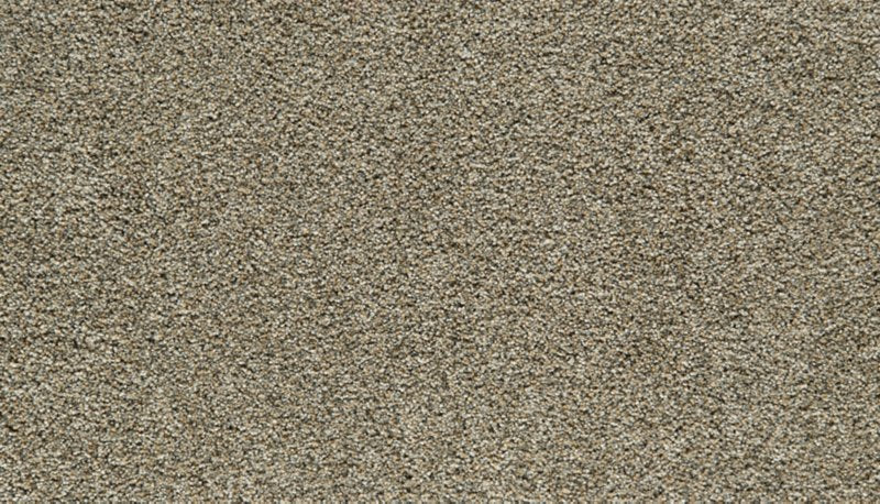 Mohawk Flooring Cozy Companion IV