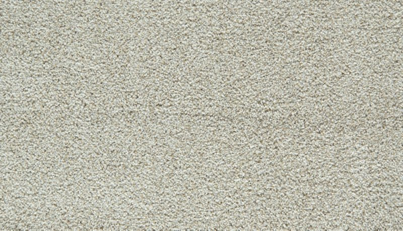Mohawk Flooring Cozy Companion IV
