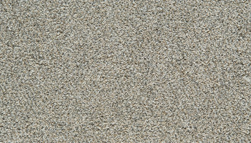 Mohawk Flooring Cozy Companion IV
