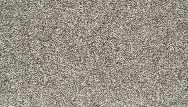 Mohawk Flooring Cozy Companion IV