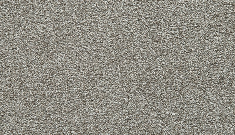 Mohawk Flooring Cozy Companion IV