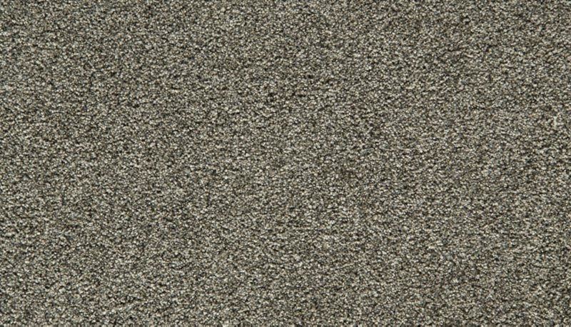 Mohawk Flooring Cozy Companion IV