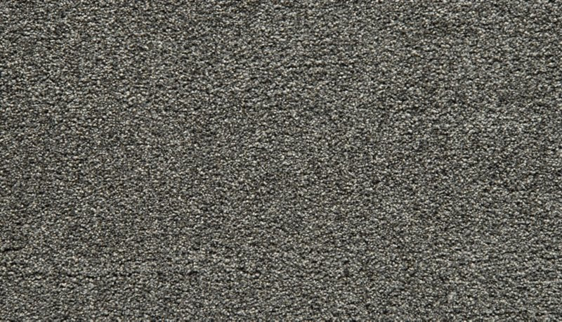 Mohawk Flooring Cozy Companion IV