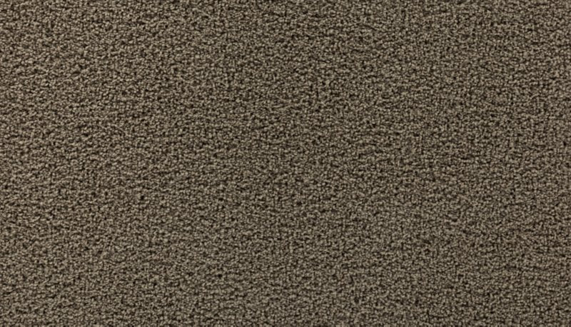 Mohawk Flooring High Hand II