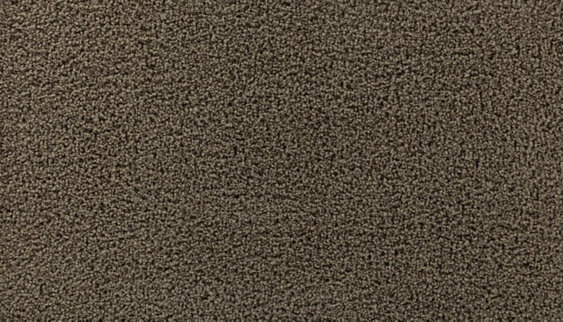 Mohawk Flooring High Hand II