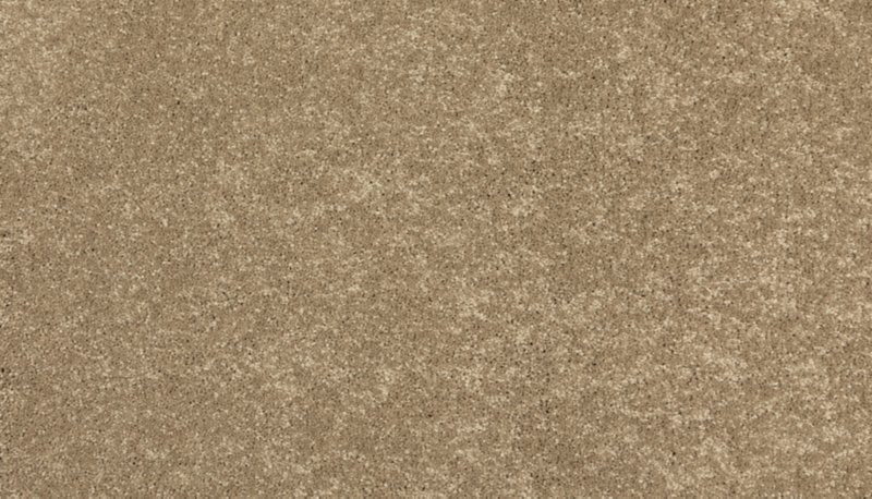 Mohawk Flooring New Statement II