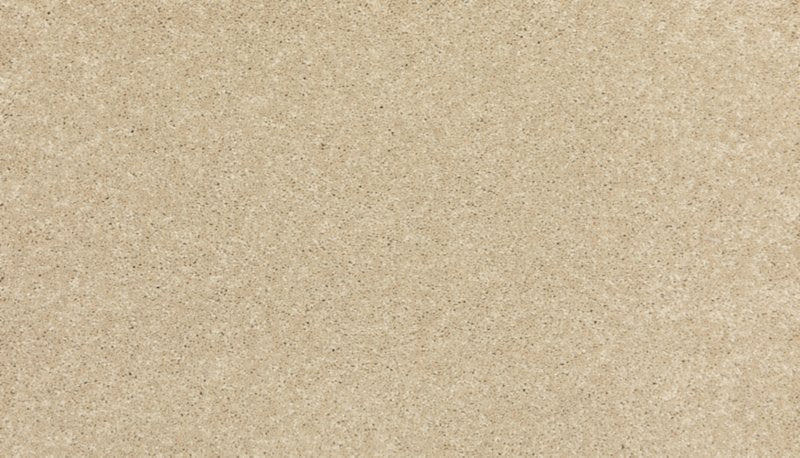 Mohawk Flooring Modern Story III