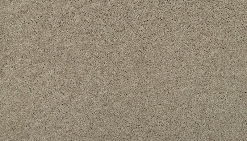 Mohawk Flooring Tonal Luxury II