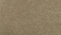 Mohawk Flooring Magnificent Style II