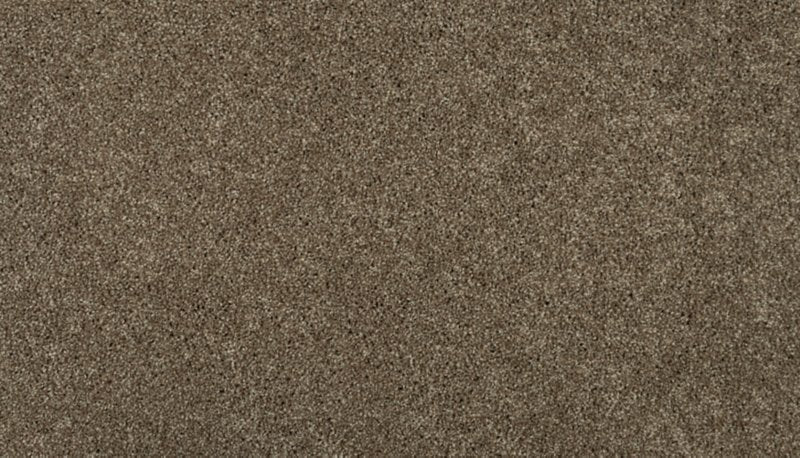 Mohawk Flooring Tonal Luxury II
