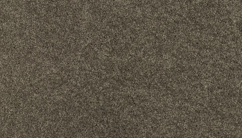 Mohawk Flooring Tonal Luxury II