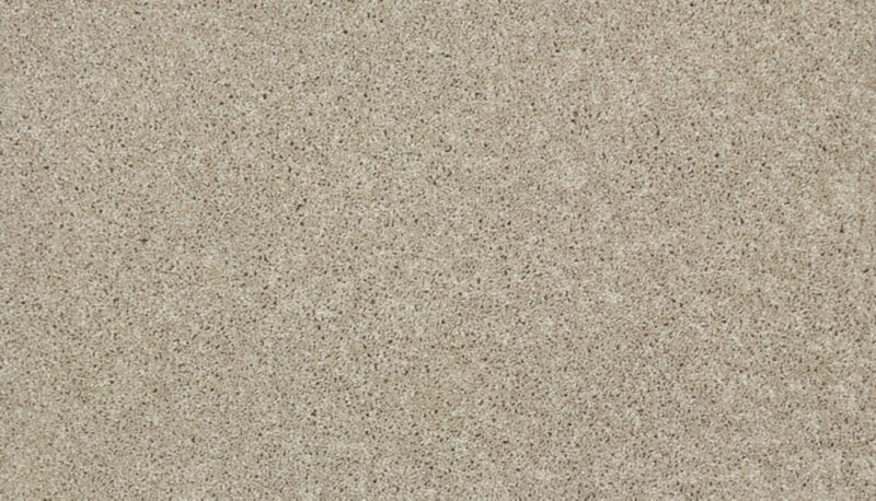 Mohawk Flooring Tonal Allure II