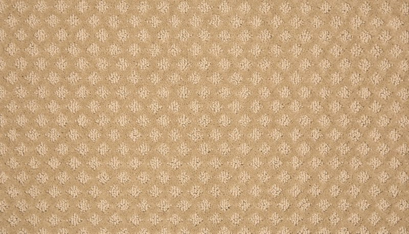 Mohawk Flooring Retro Reminisce