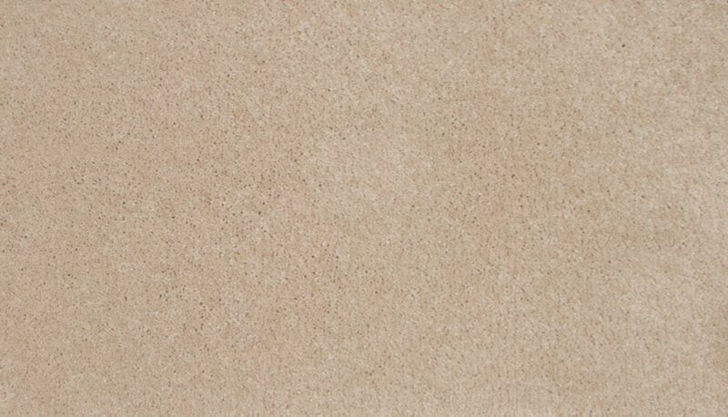 Mohawk Flooring Tender Moment II