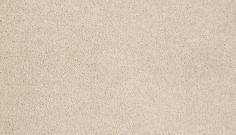 Mohawk Flooring Tender Moment II