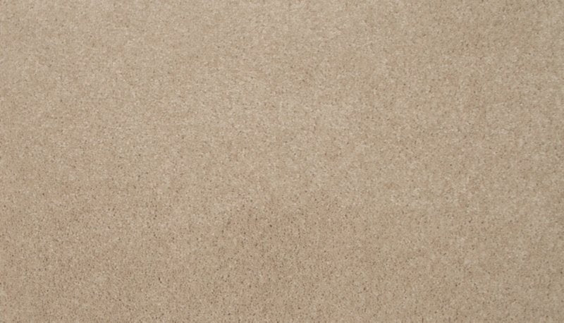 Mohawk Flooring Tender Moment II