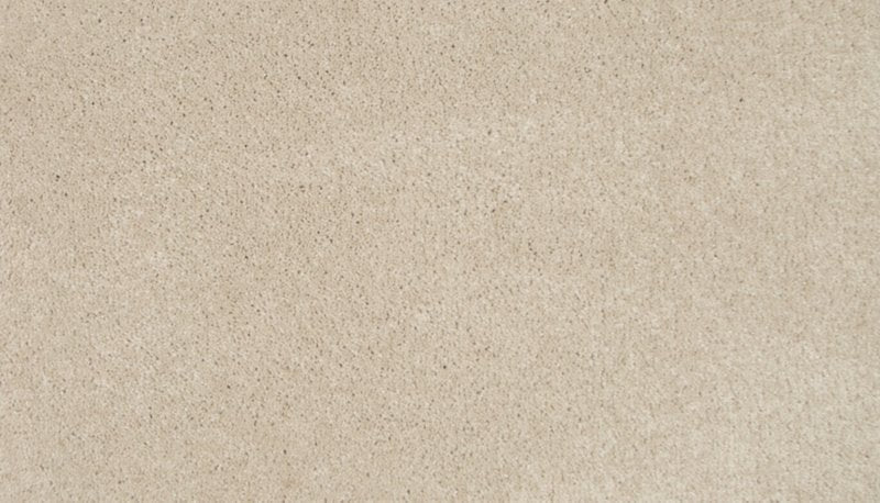 Mohawk Flooring Tender Moment II