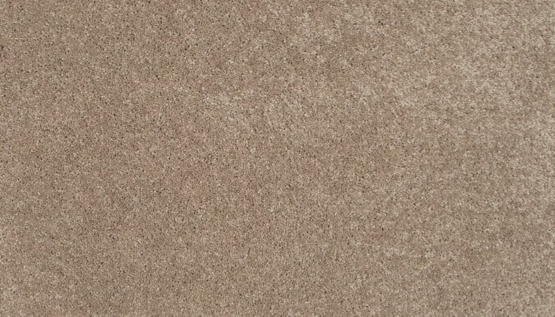Mohawk Flooring Tender Moment II