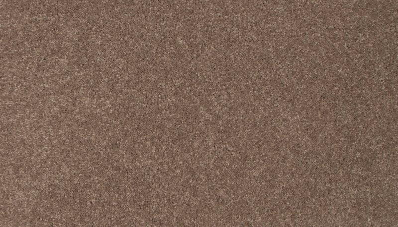 Mohawk Flooring Tender Moment II
