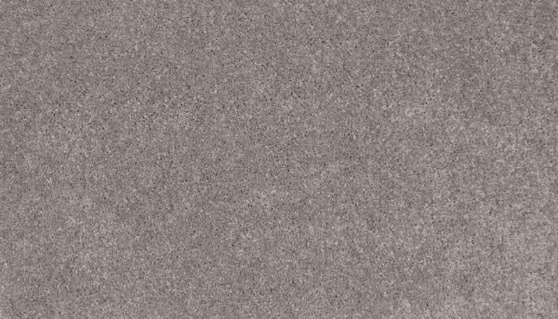 Mohawk Flooring Tender Moment II