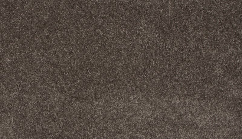 Mohawk Flooring Tender Moment II