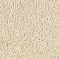 Mohawk Flooring Native Allure II