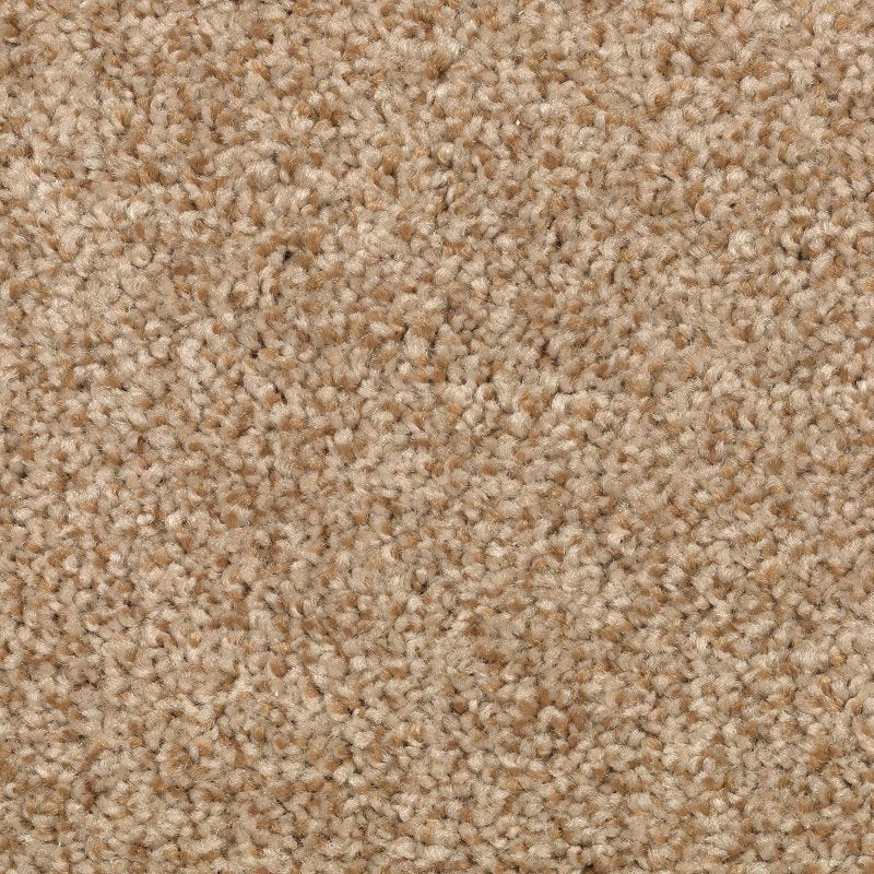 Mohawk Flooring Tonal Chic I
