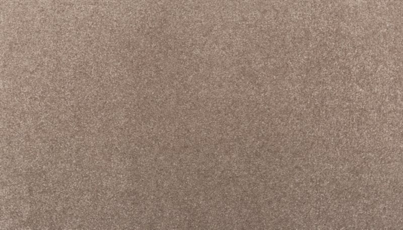 Mohawk Flooring Clever Mind II