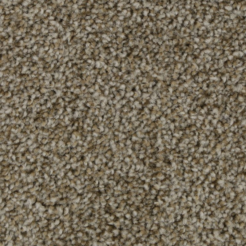Mohawk Flooring Polished Shades II