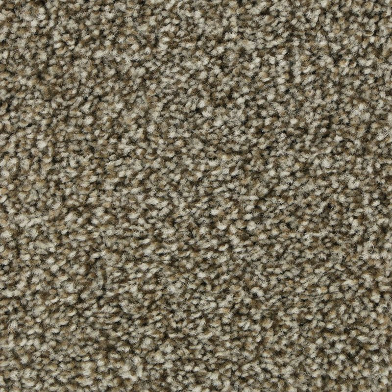 Mohawk Flooring Polished Shades II