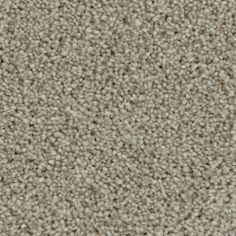 Mohawk Flooring Polished Shades II