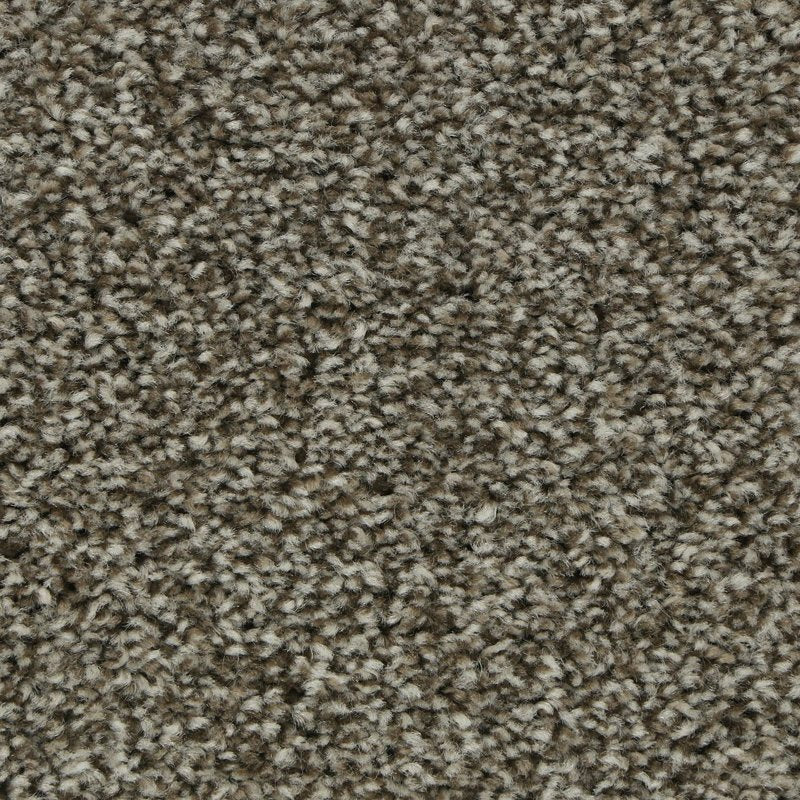 Mohawk Flooring Polished Shades II