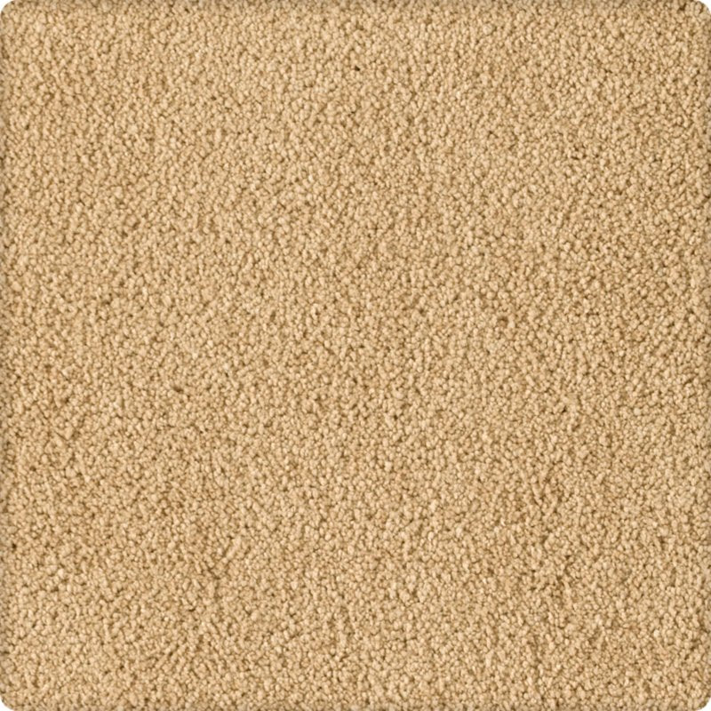 Karastan Soft Eloquence