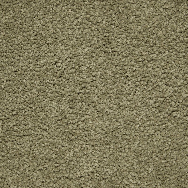 Mohawk Flooring Pleasant Touch
